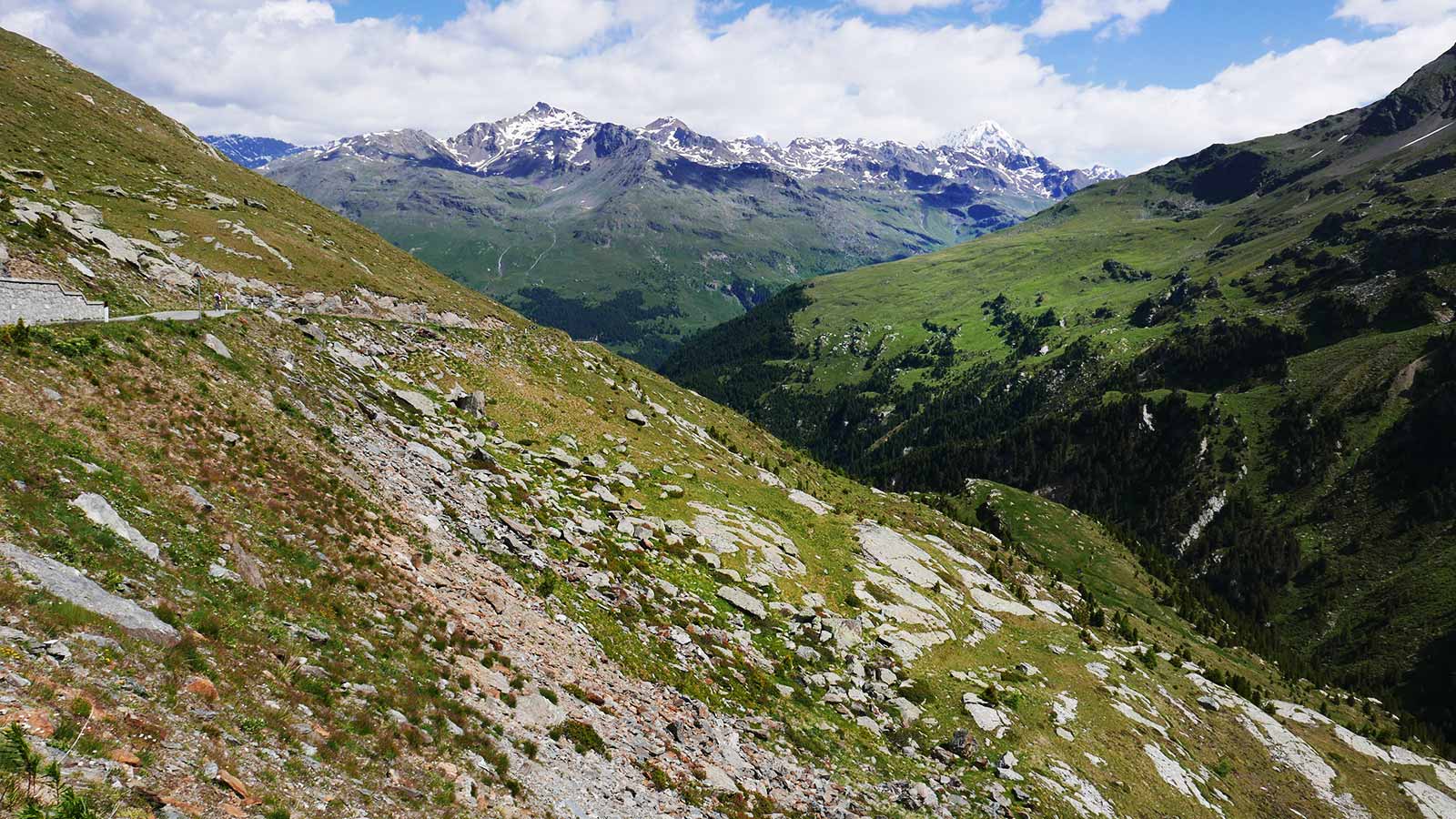 Existuje veľa vrcholov na lezenie. Priamo nad prihrávkou na východnú stranu je Corno dei Tre Signori (3360 m) a vedľa nej Monte Gaviola (3025). Na druhej strane cesty sa týči Monte Gavia (3223 m). Pokračovaním po ceste v smere na Bormio sa po necelých 3 km dostanete k pamätníku, odkiaľ začínajú trasy pre skupinu Punta San Matteo (3678 m). Do tejto skupiny patria Pizo Tresero (3594 m), Punta Pendranzini (3599), Cima Dosegu (3560) a niekoľko ďalších.