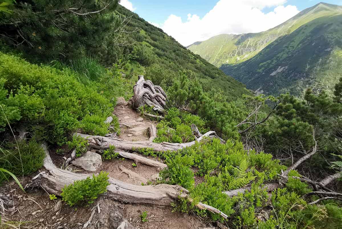 Výstup na Baníkov (2178 m n.n.) túra zo Žiarskej doliny