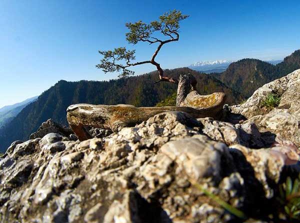 Pieniny