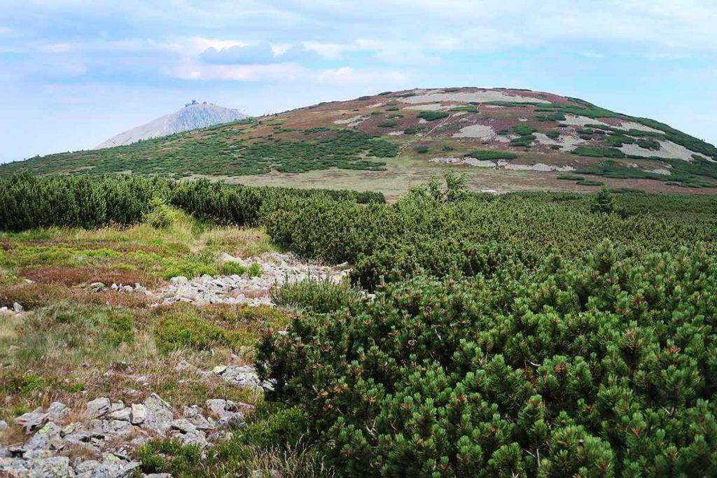 Krkonošské boudy pod Snežkou