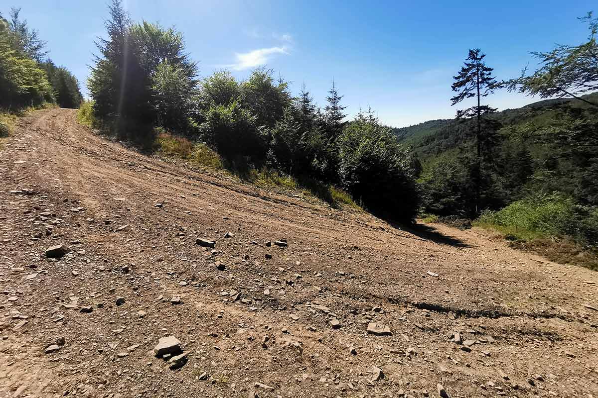 Veterný vrch MTB cykloochutnávka Spišskej Magury