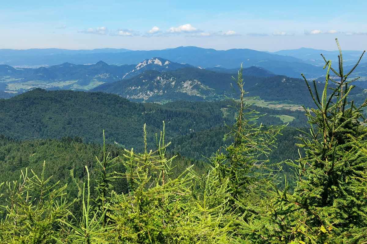 Veterný vrch MTB cykloochutnávka Spišskej Magury