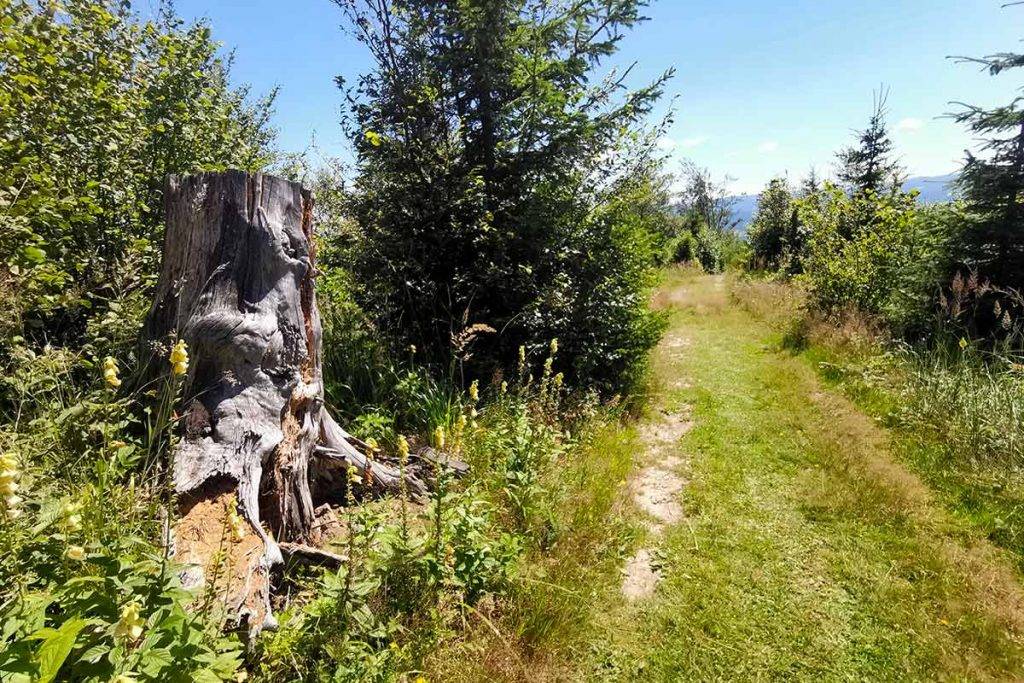 Veterný vrch MTB cykloochutnávka Spišskej Magury