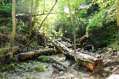 Slovenský raj: Prielom Hornádu a Kláštorisko