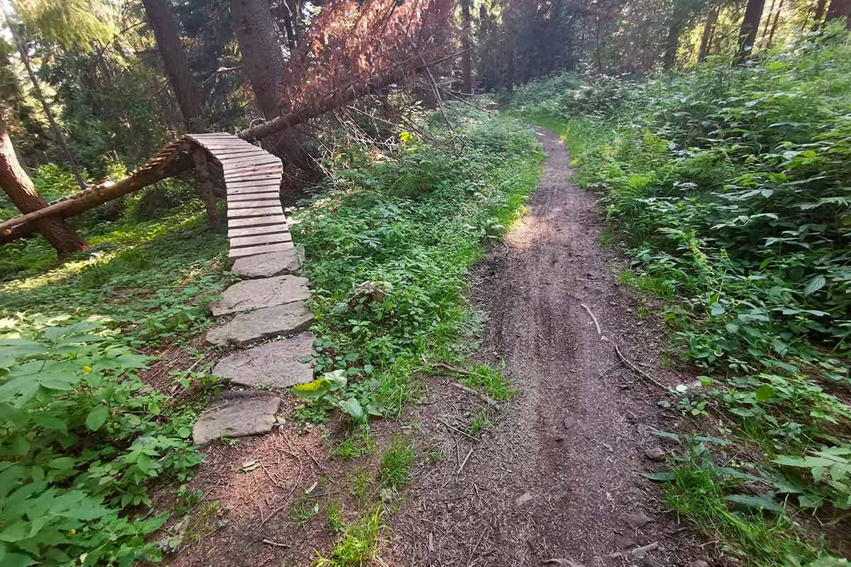 Štart vlčej stopy