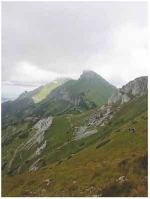 Talentida
