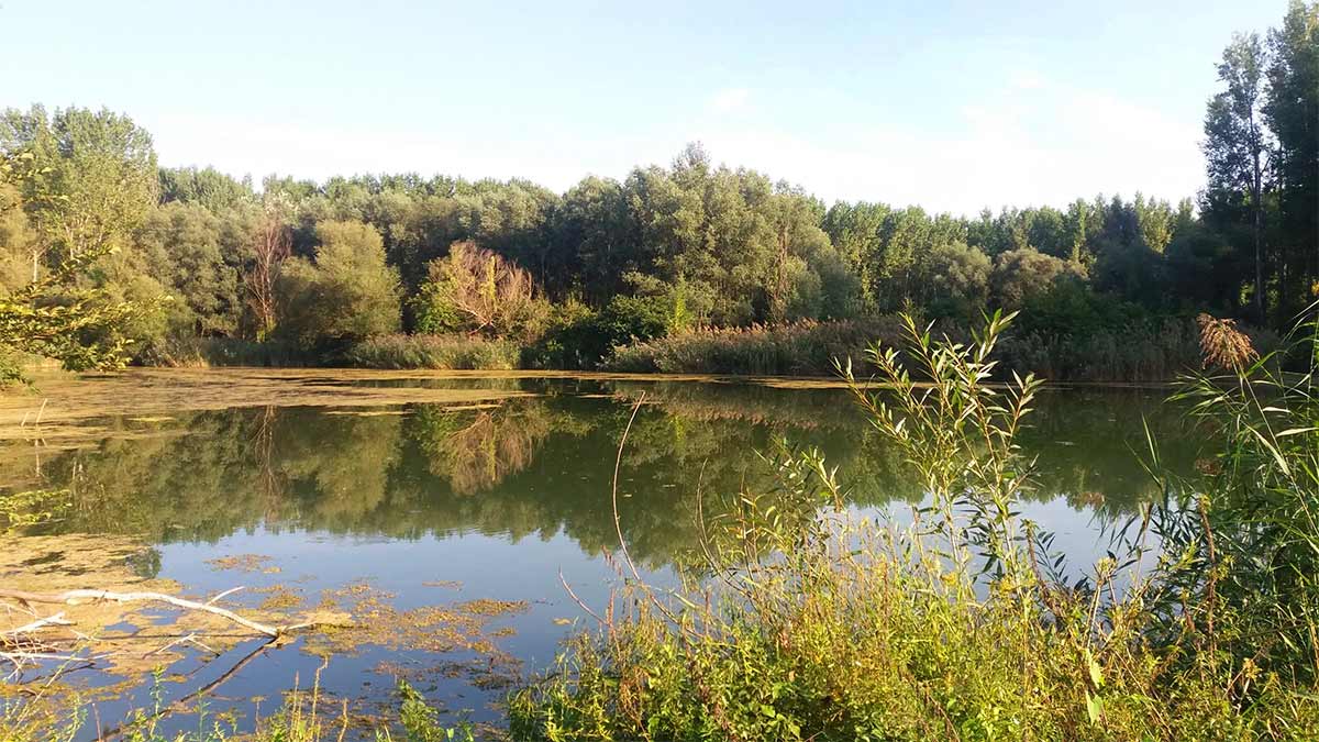 Dunajská Amazónia, ako sme objavovali krásy Dunajských ramien