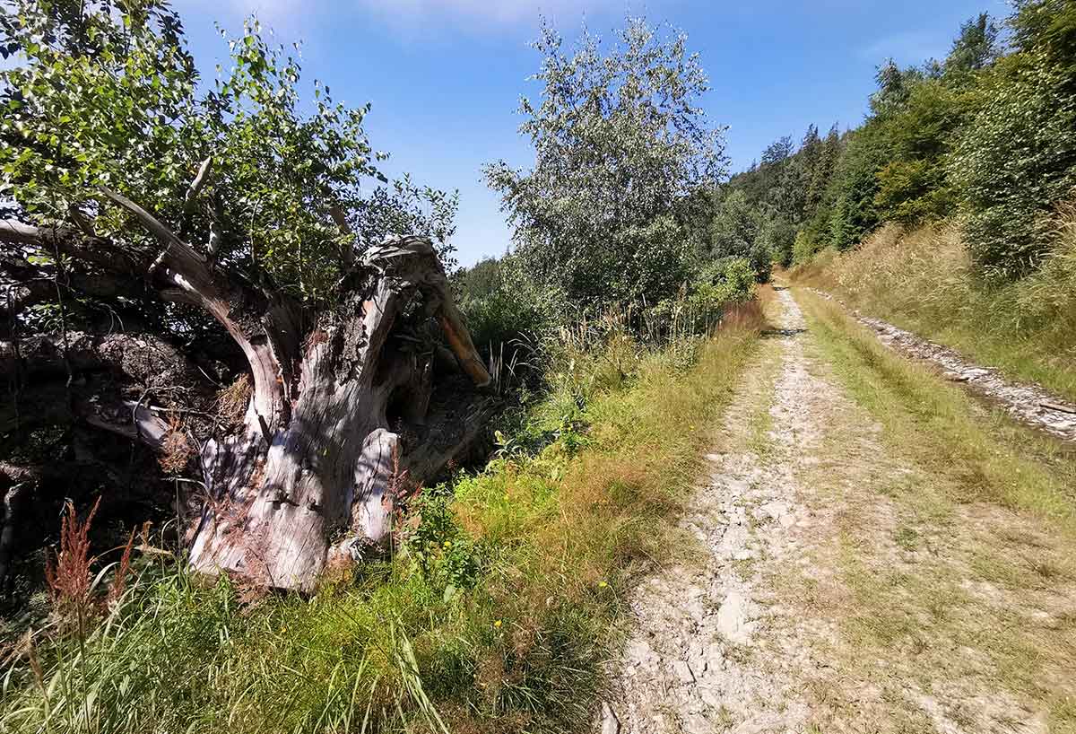 MTB: Hľadanie ideálnej cyklotrasy na Skalisko a Volovec