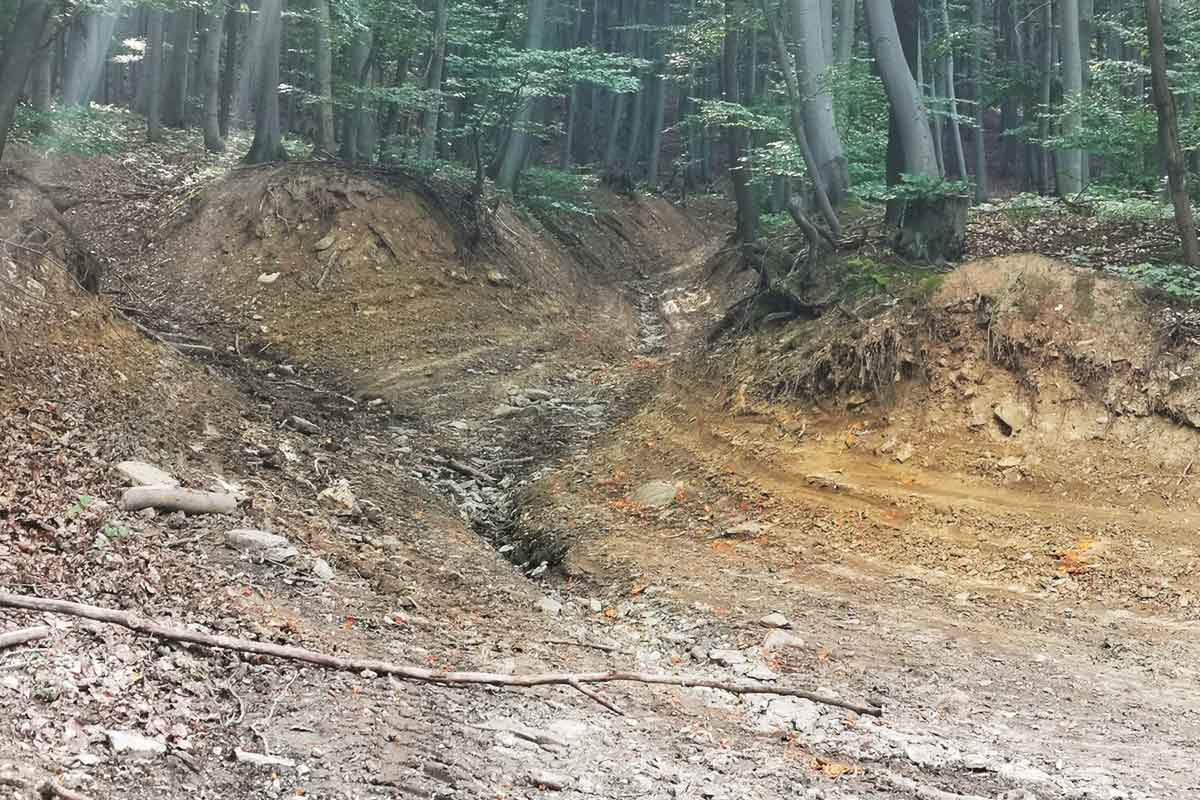 Nie. Tadiaľto hore rozhodne nie