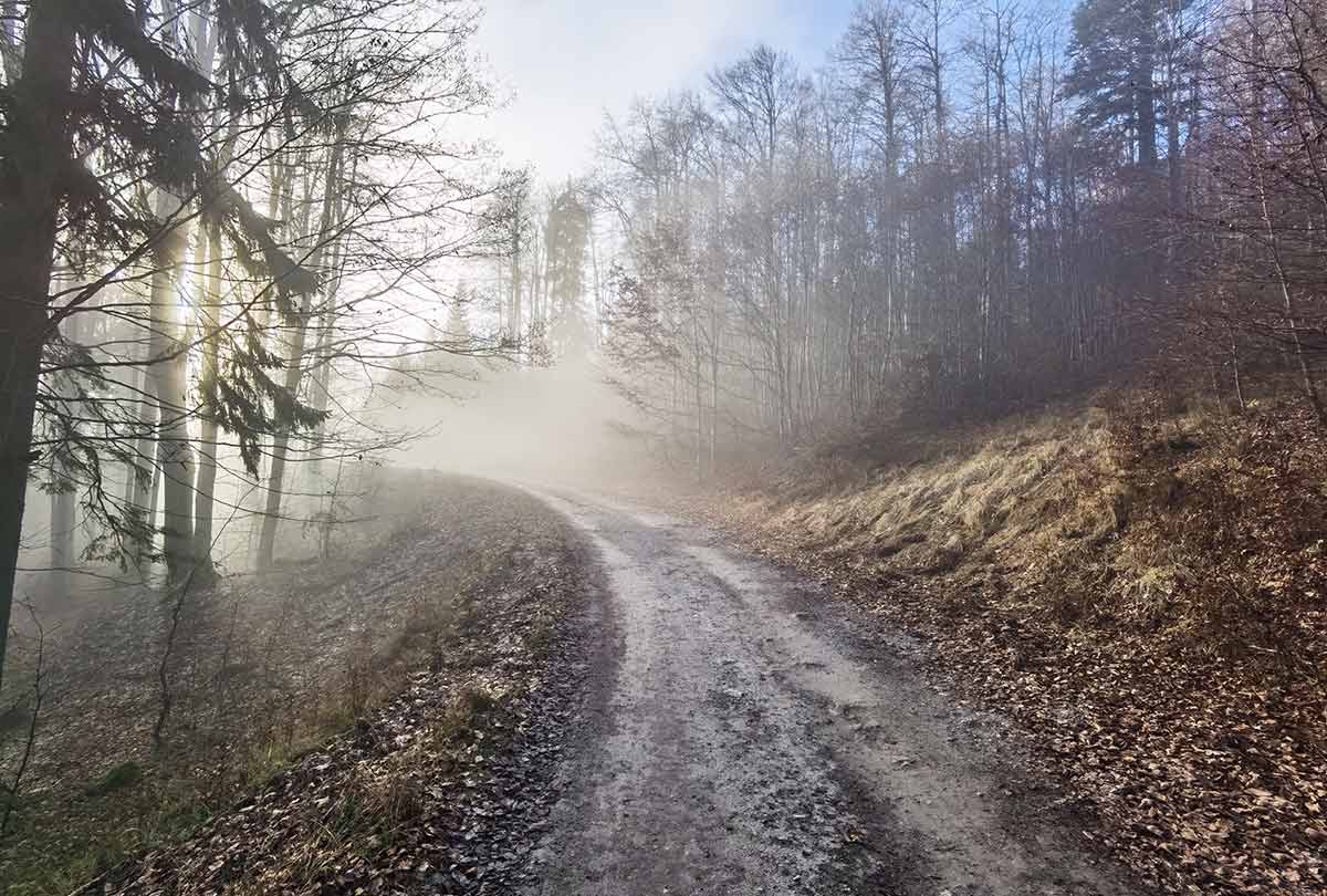 Jesenný MTB výjazd na Krížnu