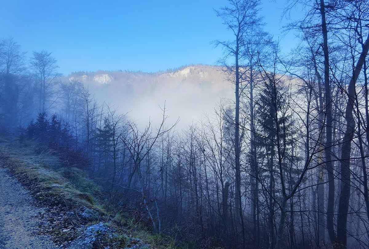 Jesenný MTB výjazd na Krížnu