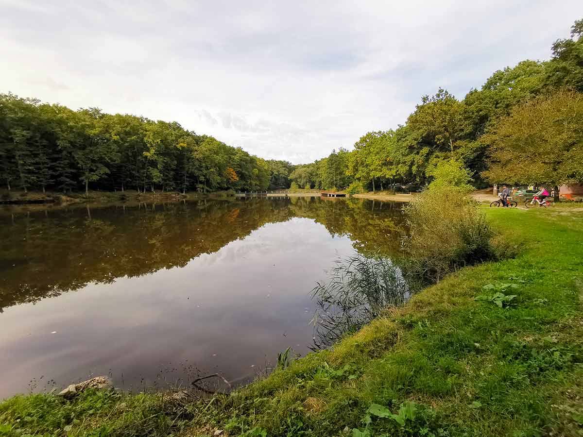 MTB: Medzi Gýmešom a Oponicami Tríbečská medzihradná