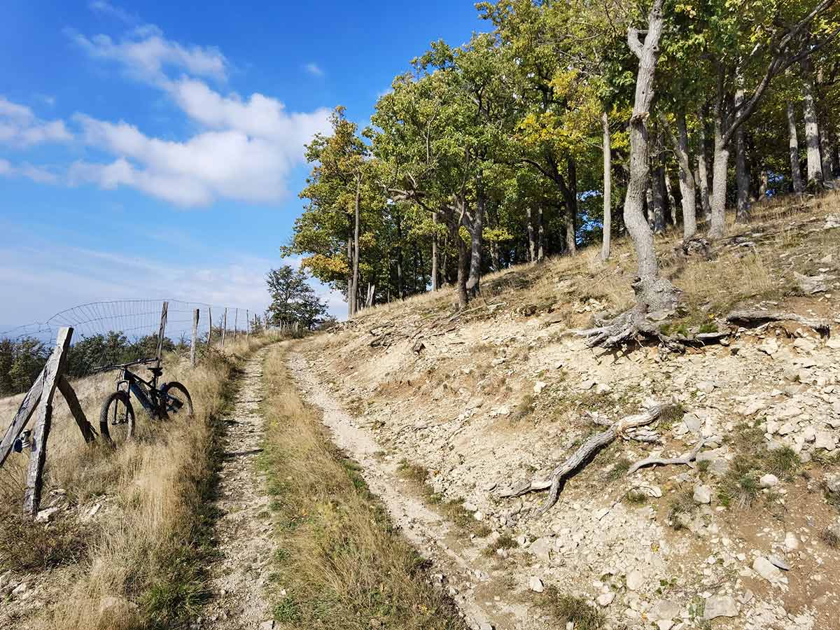 MTB: Medzi Gýmešom a Oponicami Tríbečská medzihradná