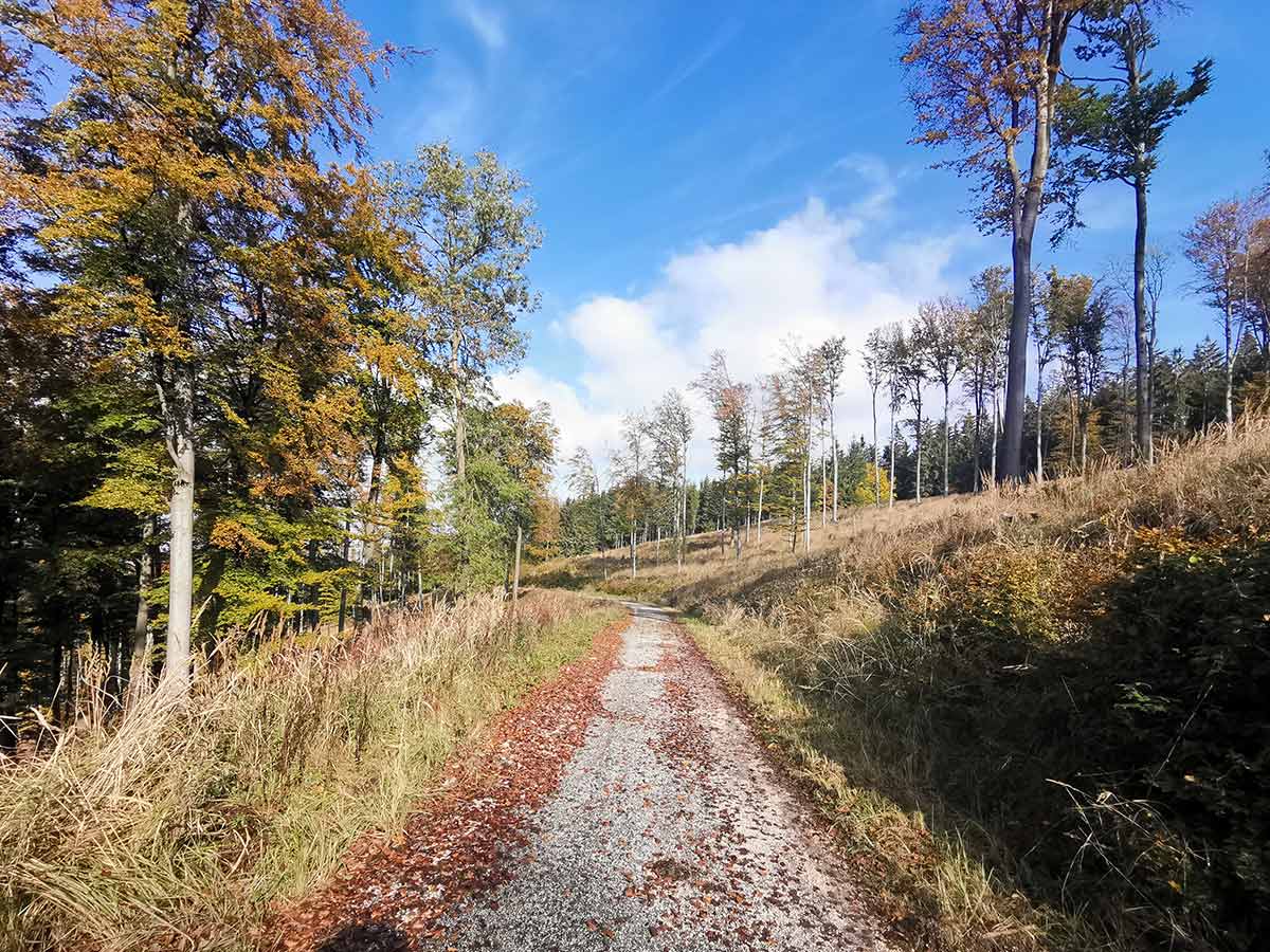 MTB: Medzi Gýmešom a Oponicami Tríbečská medzihradná