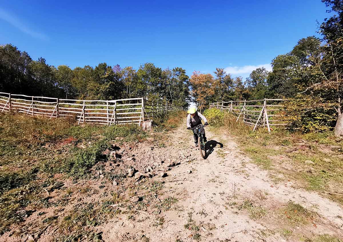 MTB: Najkrajšie cyklotrasy v pohorí Tríbča