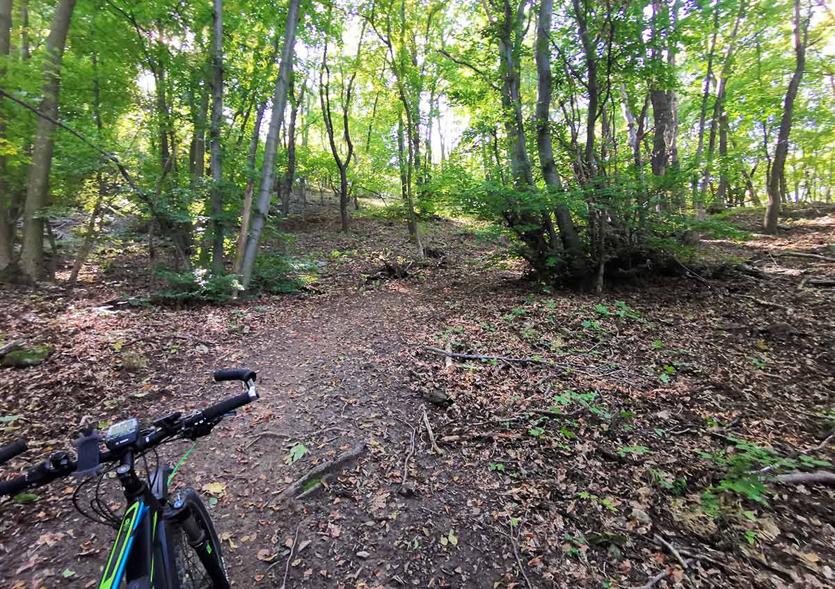 MTB: Najkrajšie cyklotrasy v pohorí Tríbča