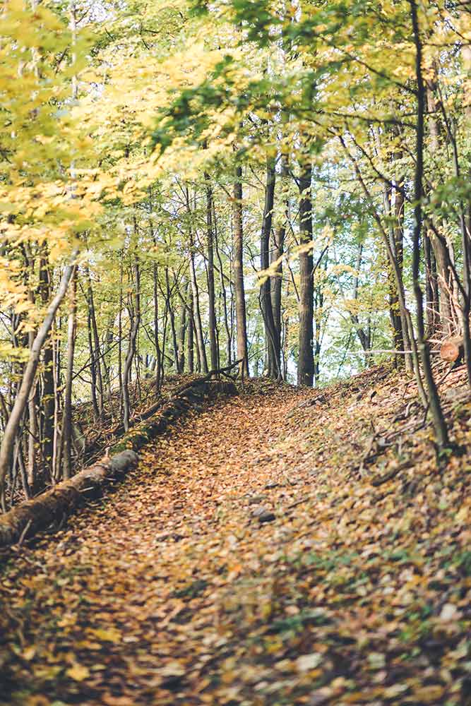 Pustý hrad (Teplica) v Štiavnických vrchoch