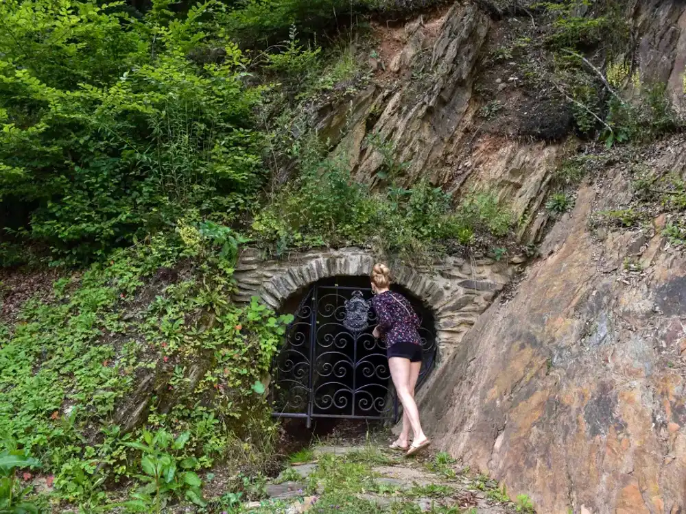 Hladní vlci v Rožňave
