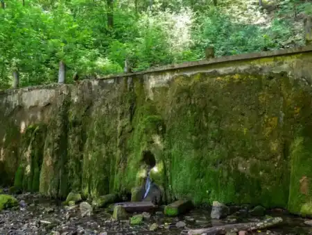 Biela Vyvieračka