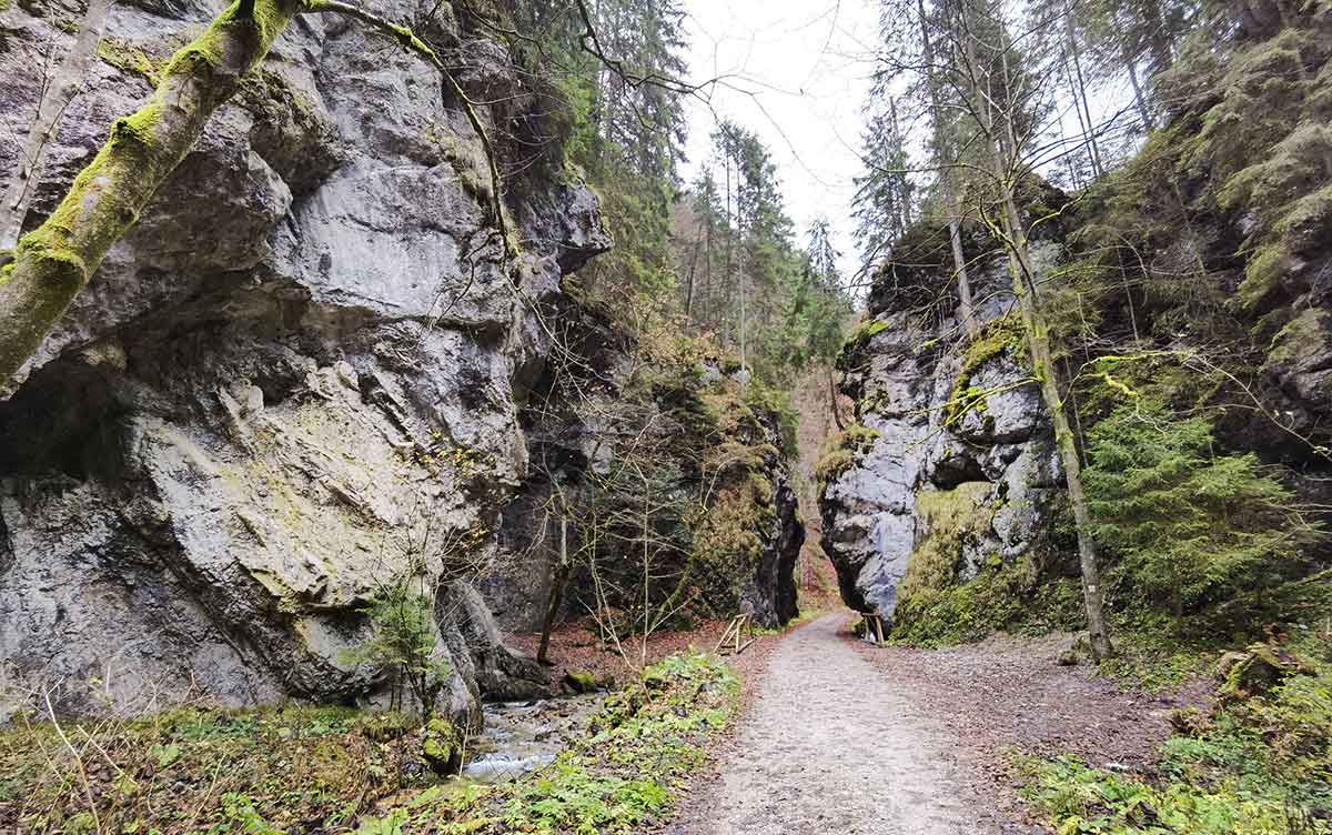 Tlstá, Ostrá, Veľká Fatra- turistické trasy/cyklotrasy