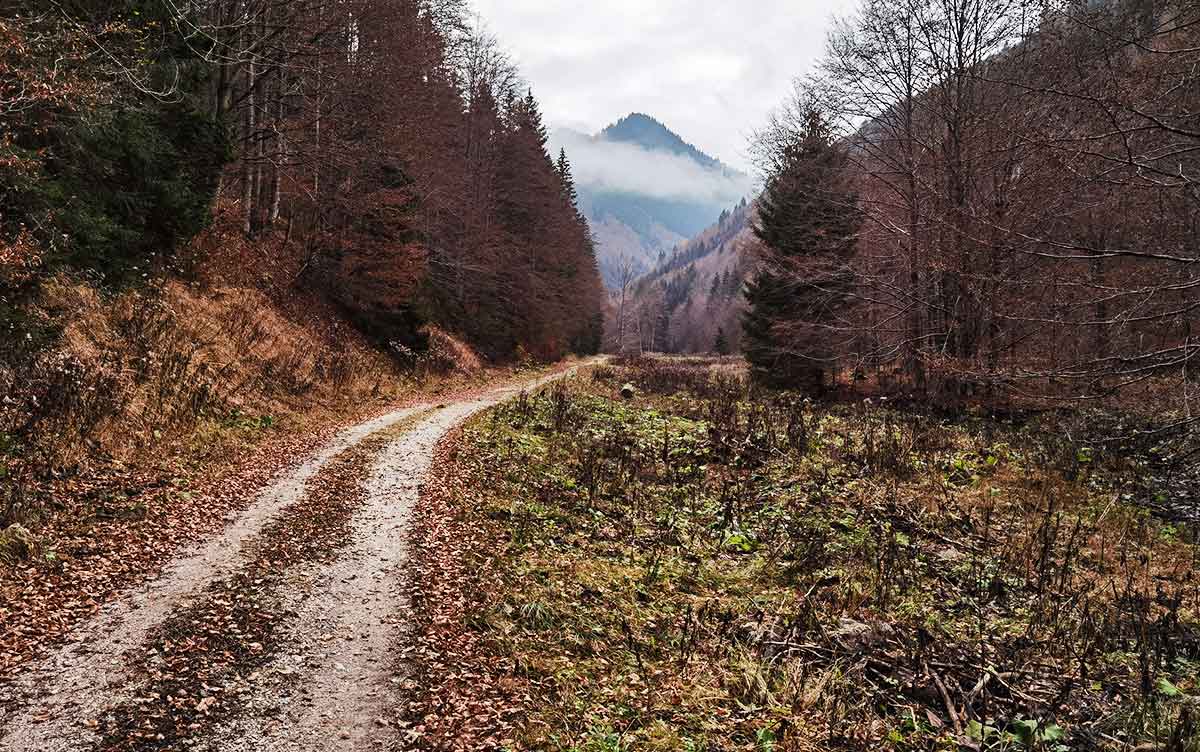 Tlstá, Ostrá, Veľká Fatra- turistické trasy/cyklotrasy