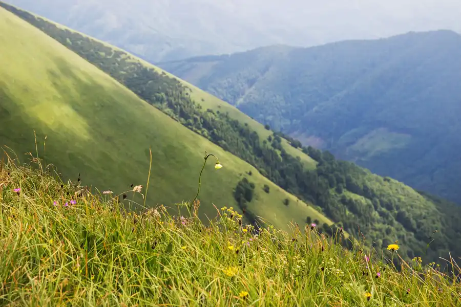 Poézia Krížnej foto Robo Anda