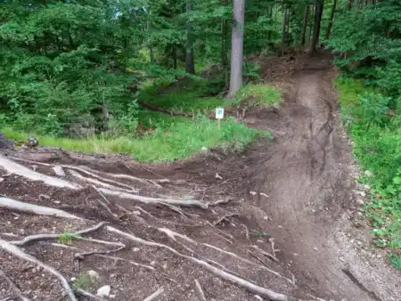 Bikepark Malinô Brdo