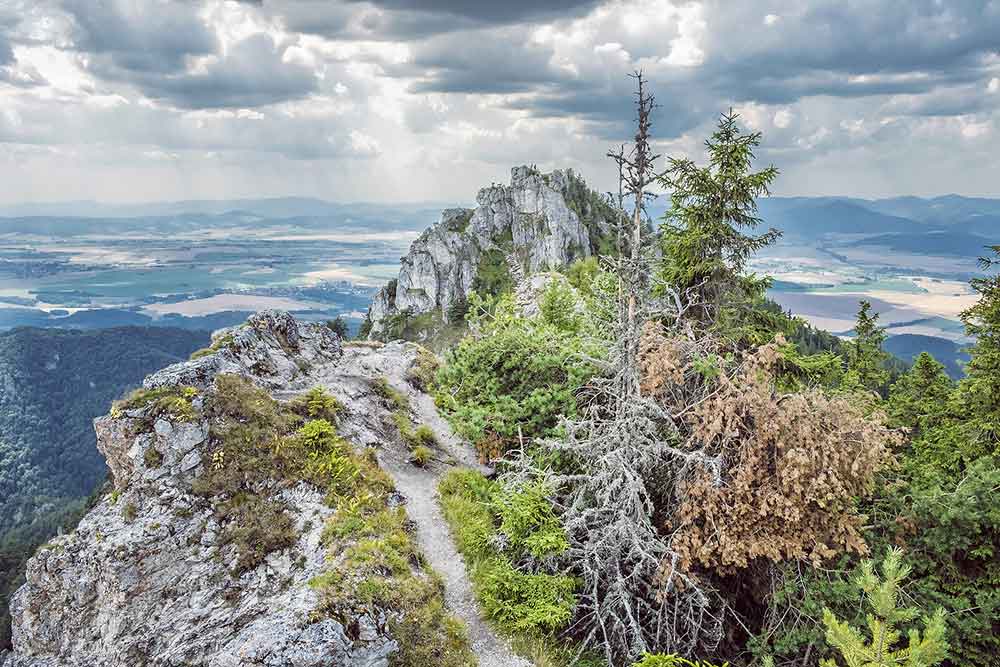 Tlstá, Ostrá, Veľká Fatra- turistické trasy/cyklotrasy