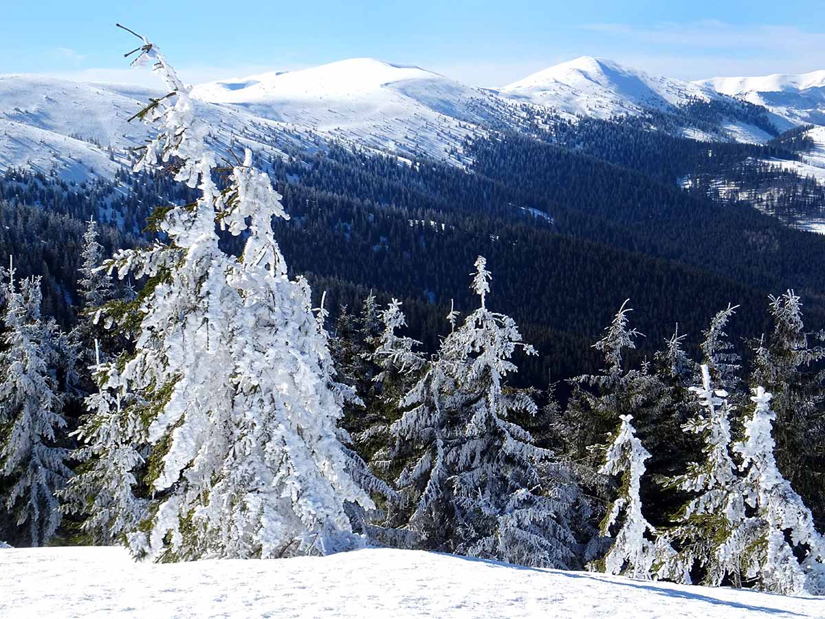 Chabenec z Magurky, zimný výstup za výhľadmi na Tatry