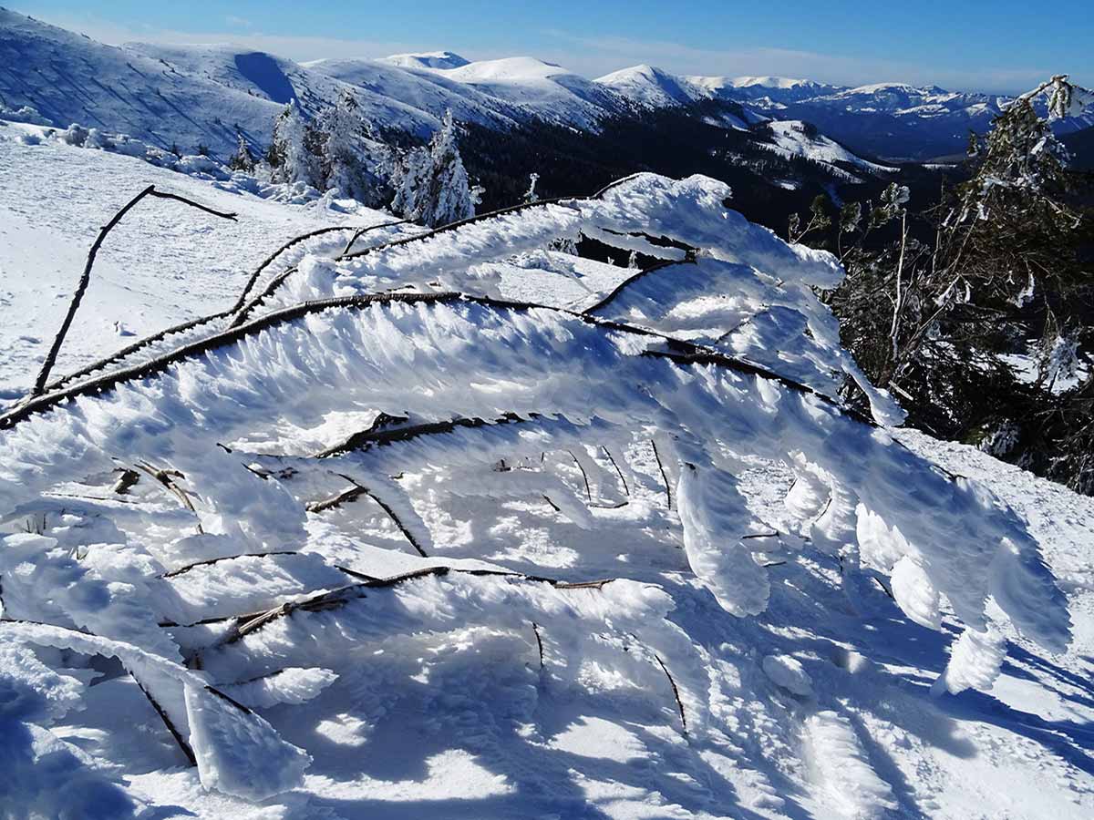 Chabenec z Magurky, zimný výstup za výhľadmi na Tatry