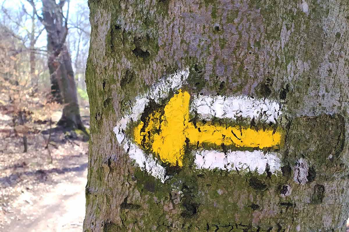 Turistické potulky okolo Stupavy s výstupom na Pajštún