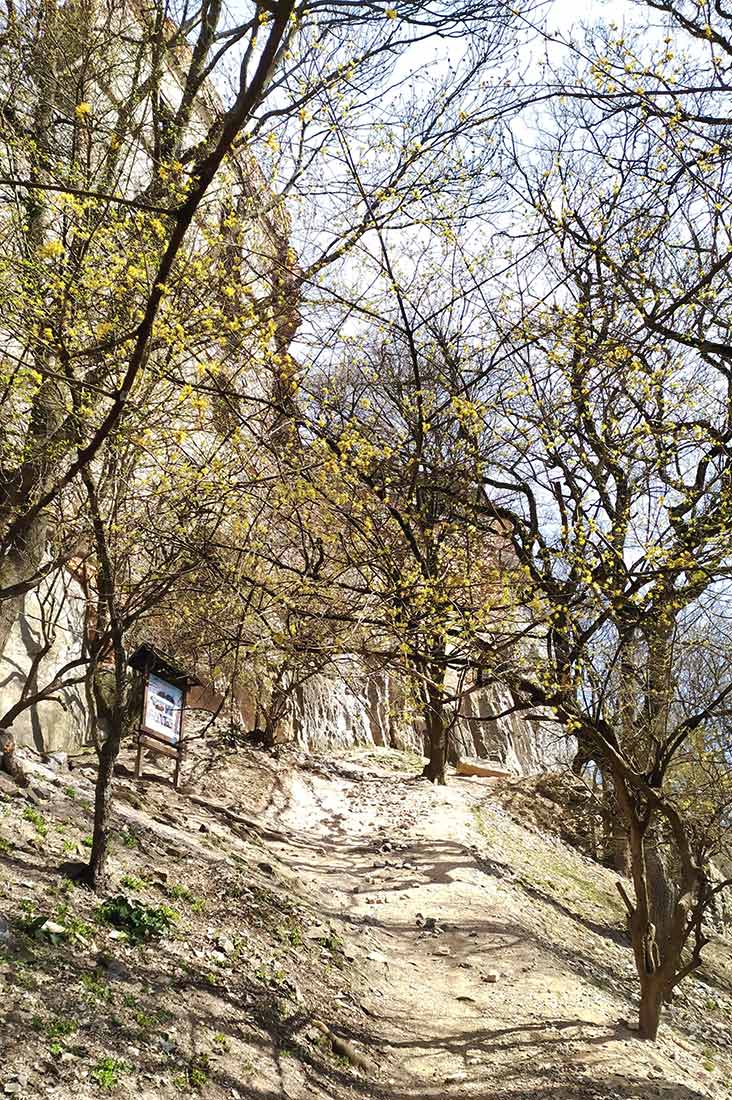 Turistické potulky okolo Stupavy s výstupom na Pajštún