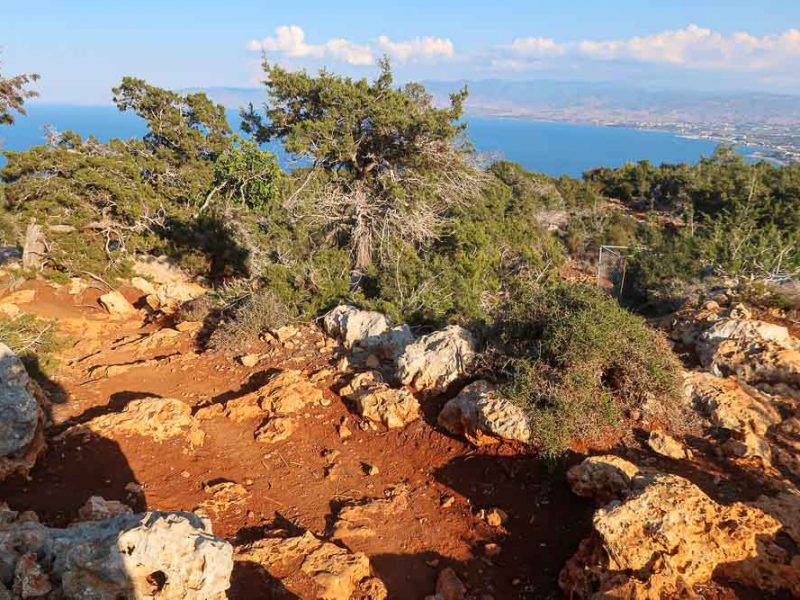 100km Cyprus trails? Akamas Penninsula