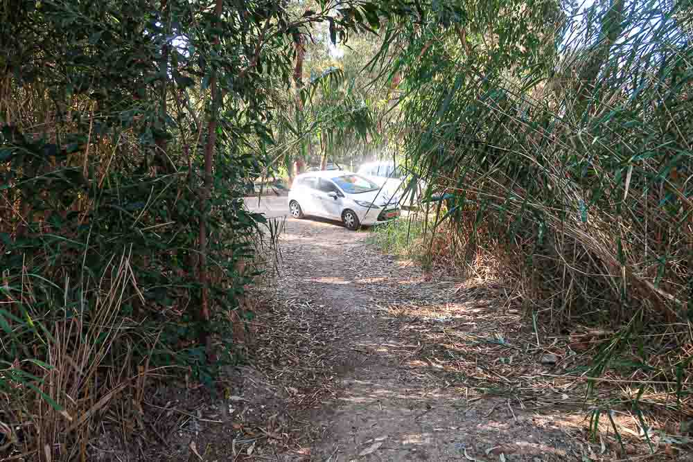 100km Cyprus trails? Akamas Penninsula