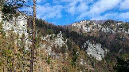 Prosiecka dolina v Chočských vrchoch