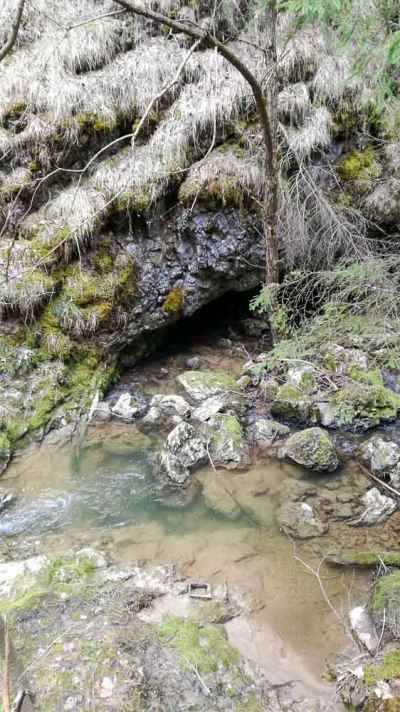 Prosiecka dolina v Chočských vrchoch