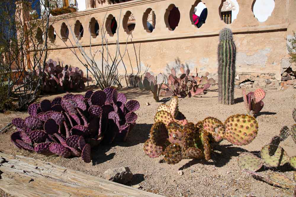 Národné parky USA Saguaro Tucson Sonora
