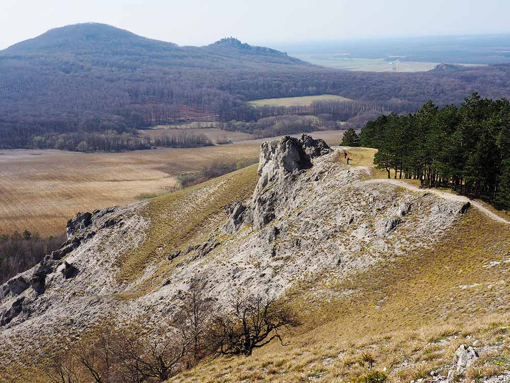 Okruh z Plaveckého Mikuláša cez Jeleniu horu, Mon Repos a Deravú skolu je nádherný