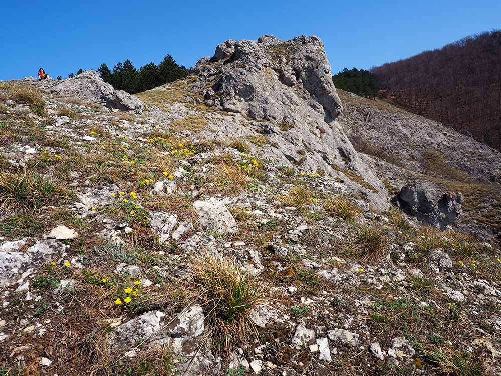 Okruh z Plaveckého Mikuláša cez Jeleniu horu, Mon Repos a Deravú skolu je nádherný