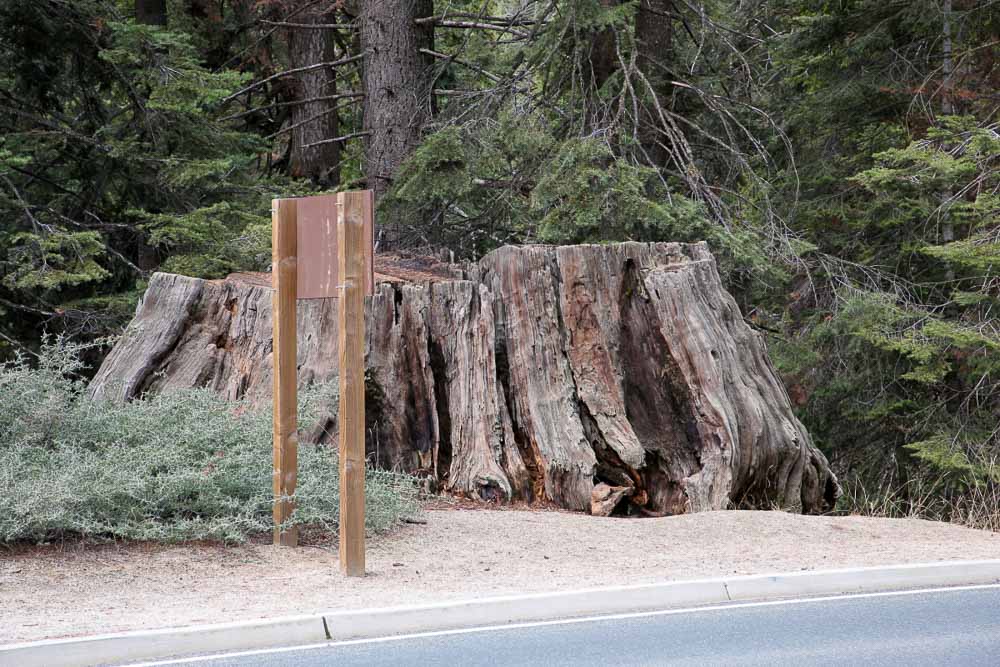 Sequoia park národné parky USA