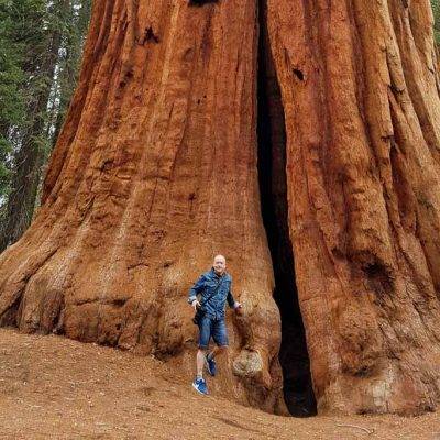 Sequoia park, obři mezi velikány