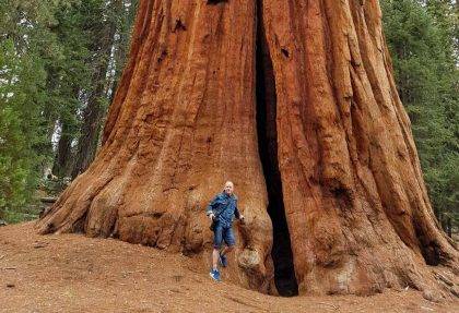 Sequoia park národné parky USA