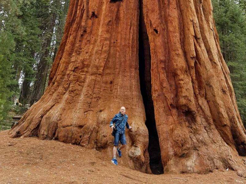 Sequoia park národné parky USA