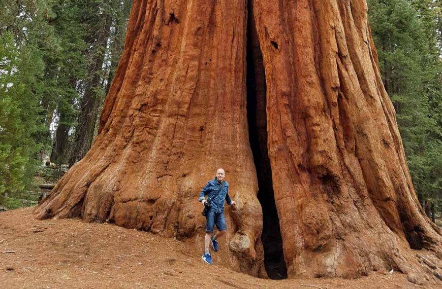 Sequoia park, obři mezi velikány