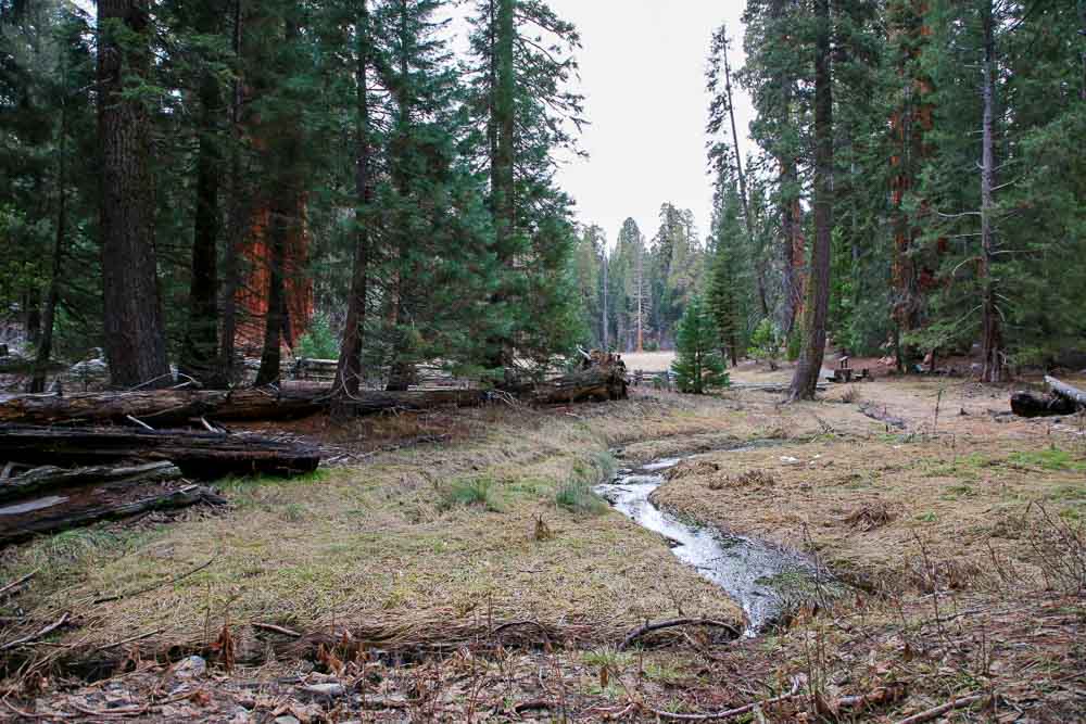 Sequoia park národné parky USA