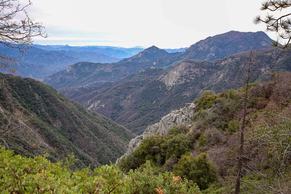 Sequoia park národné parky USA