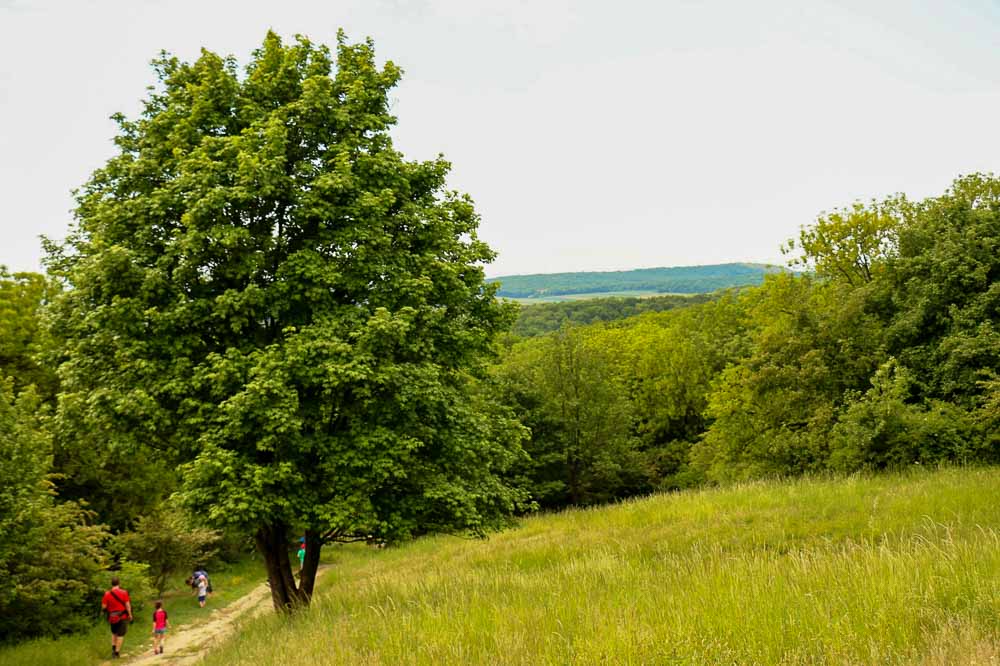 Berg turistika 7 kopcov 3 jazerá