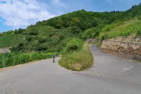 Bingen Wine Ride