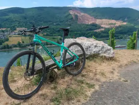 Bingen Wine Ride