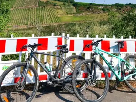 Bingen Wine Ride